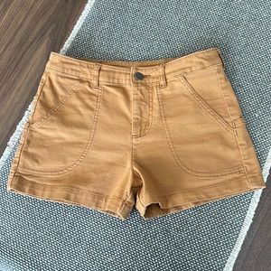 Patagonia 3 inch stand up shorts never been worn
